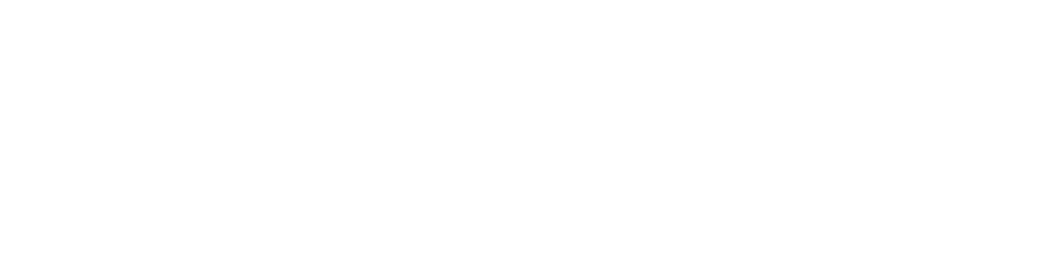 Deneyim Gelişim Akademi